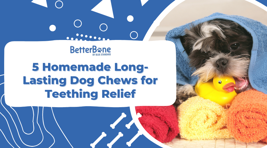 5 Homemade Long-Lasting Dog Chews for Teething Relief