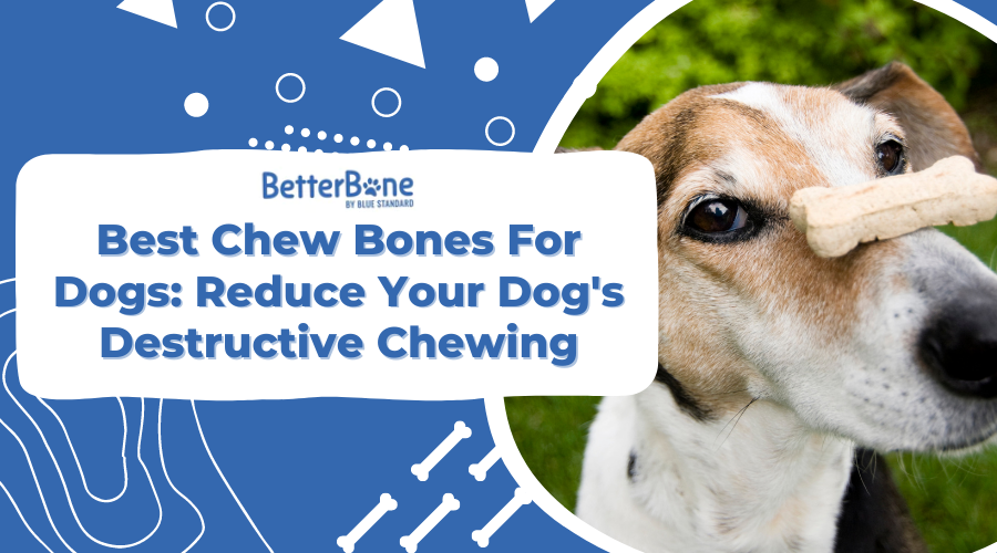 6 Best Chew Bones for Dogs: Reduce Your Dog’s Destructive Chewing