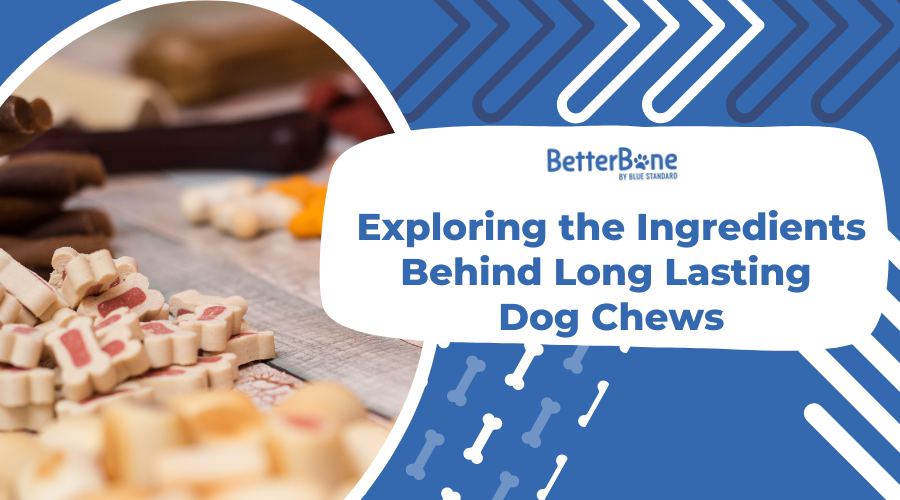 Exploring the Ingredients Behind Long Lasting Dog Chews