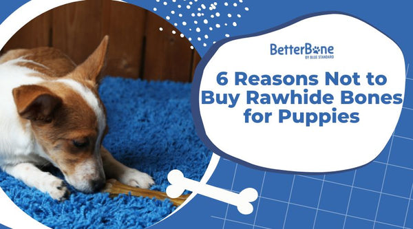 6 Reasons Not to Buy Rawhide Bones for Puppies BetterBone All