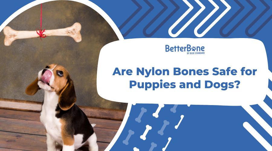 Are Nylon Bones Safe for Puppies and Dogs?