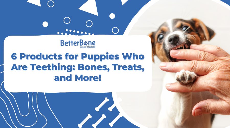 6 Products for Puppies Who Are Teething: Bones, Treats, and More!