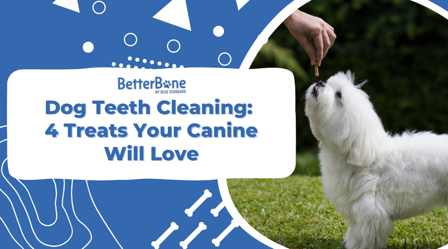 Dog Teeth Cleaning: 4 Treats Your Canine Will Love