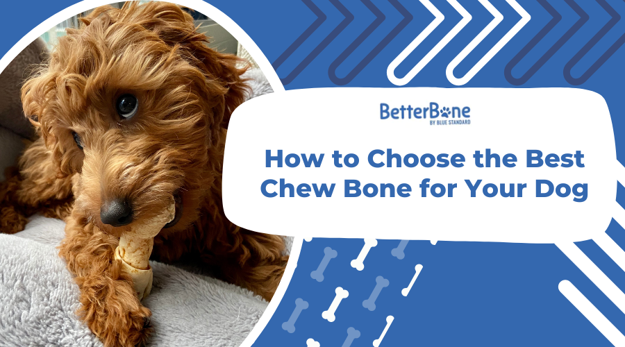 How to Choose the Best Chew Bone for Your Dog