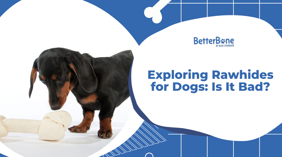 Exploring Rawhides for Dogs: Is It Bad?