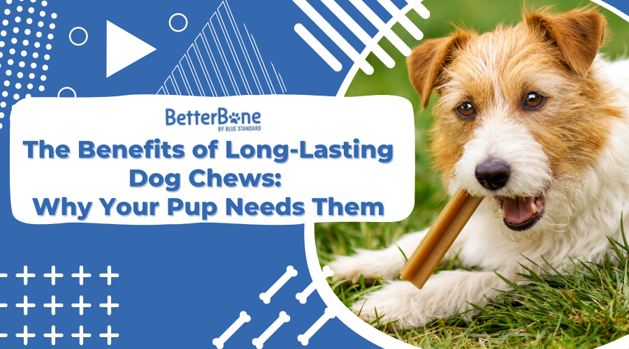 The Benefits of Long-Lasting Dog Chews: Why Your Pup Needs Them