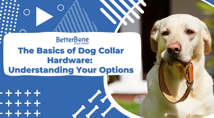 The Basics of Dog Collar Hardware: Understanding Your Options