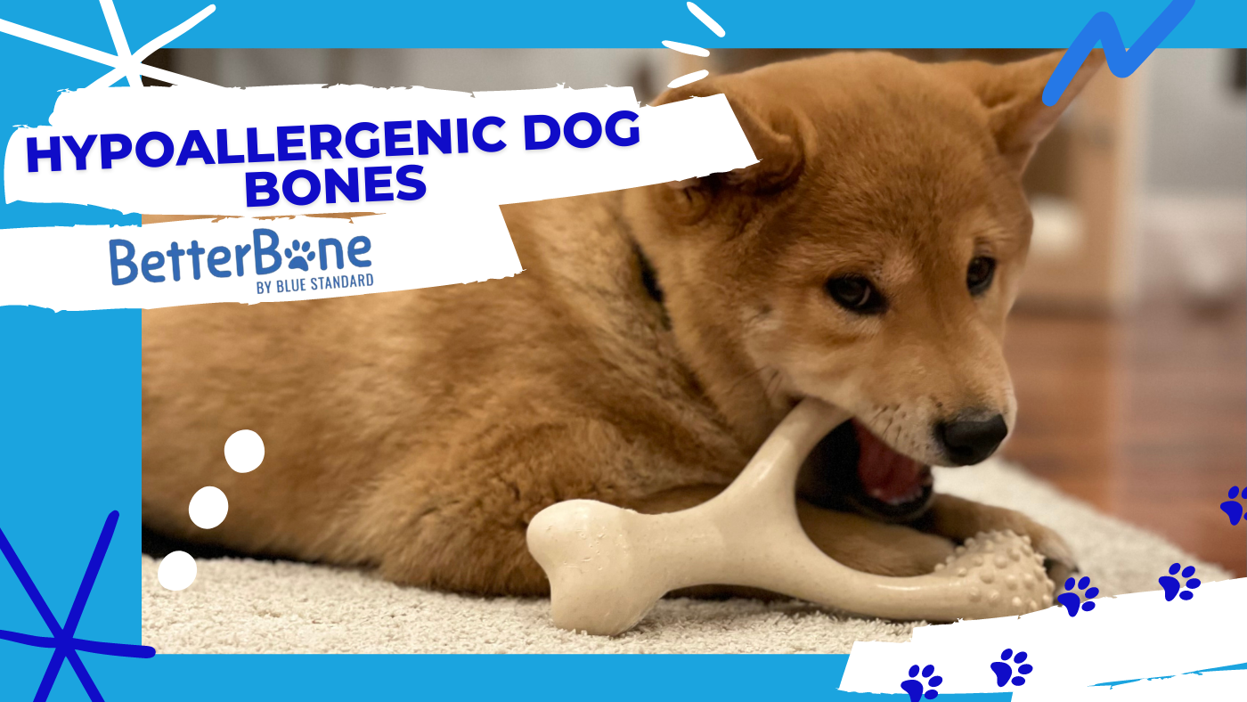Hypoallergenic dog, meet hypoallergenic dog bone