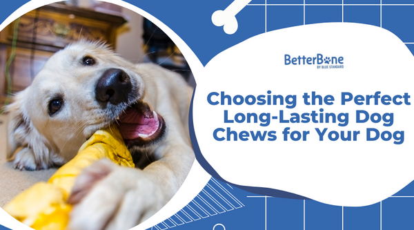 Long lasting store dog chew bones