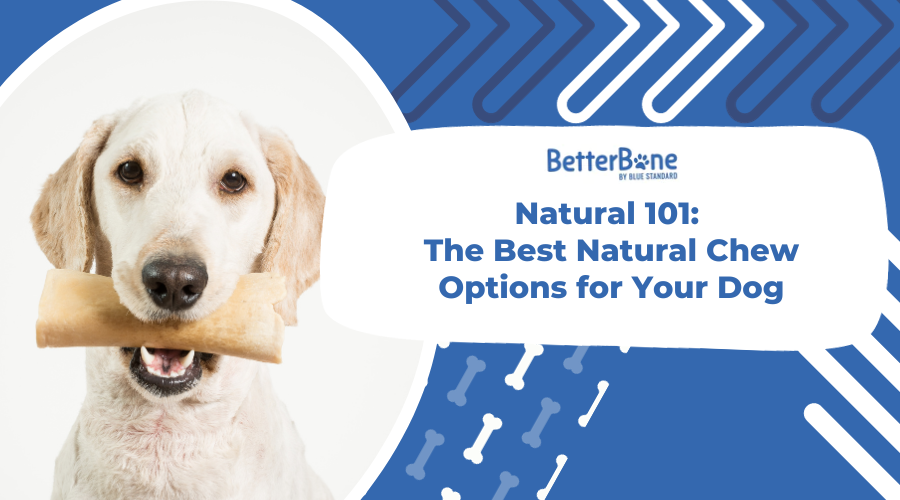 Natural 101: The Best Natural Chew Options for Your Dog