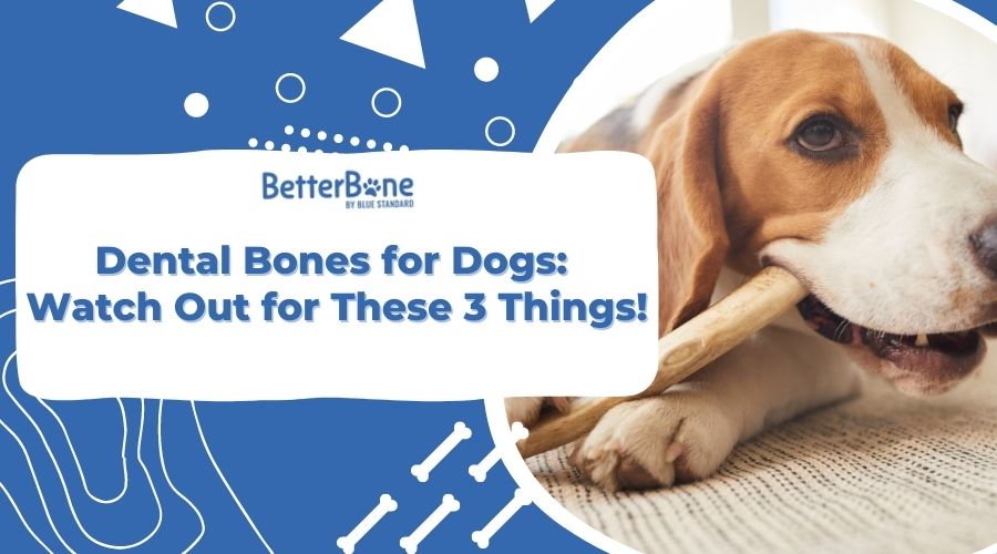 Dental Bones for Dogs:  Watch Out for These 3 Things!