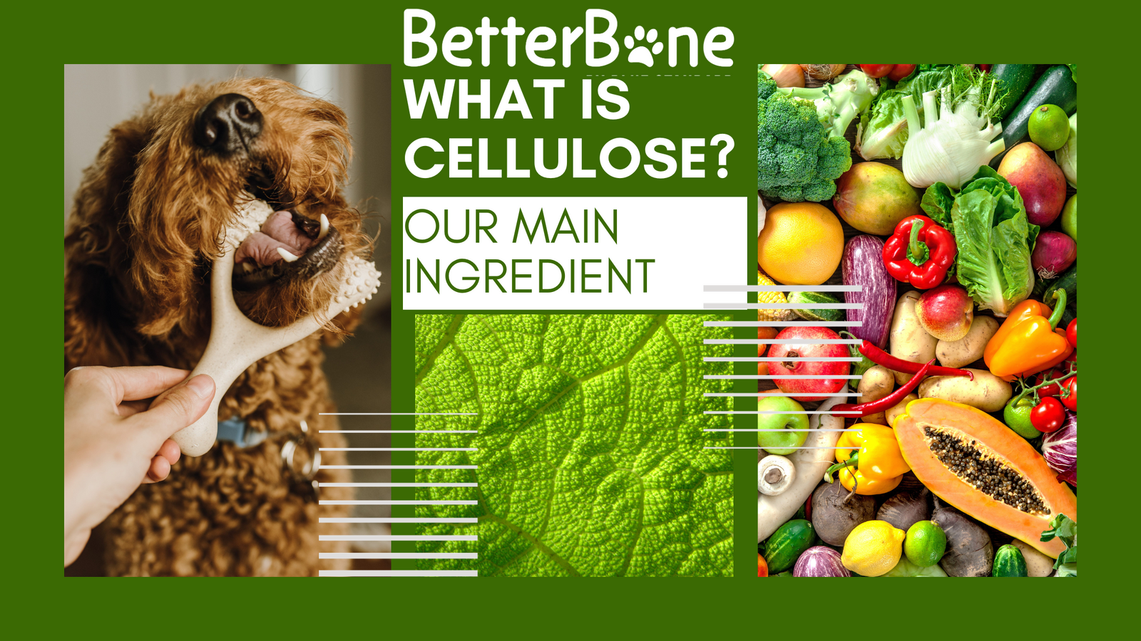 pefc wood flour pulp cellulose betterbone