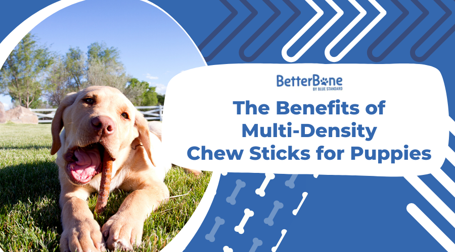 The Benefits of Multi-Density Chew Sticks for Puppies