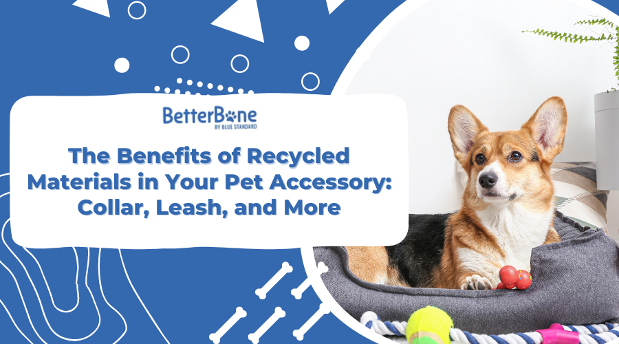 The Benefits of Recycled Materials in Your Pet Accessory: Collar, Leash, and More