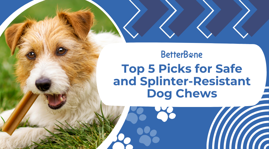 Top 5 Picks for Safe and Splinter-Resistant Dog Chews