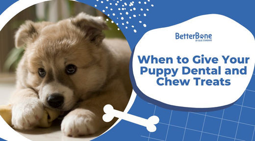 When to Give Your Puppy Dental and Chew Treats BetterBone All Natural Eco Friendly Dog Chews Bones