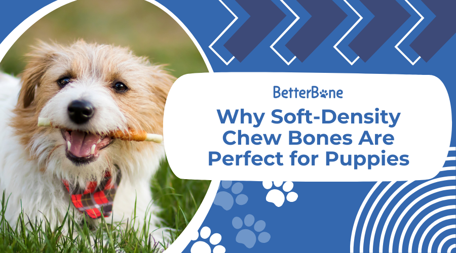 Why Soft-Density Chew Bones Are Perfect for Puppies