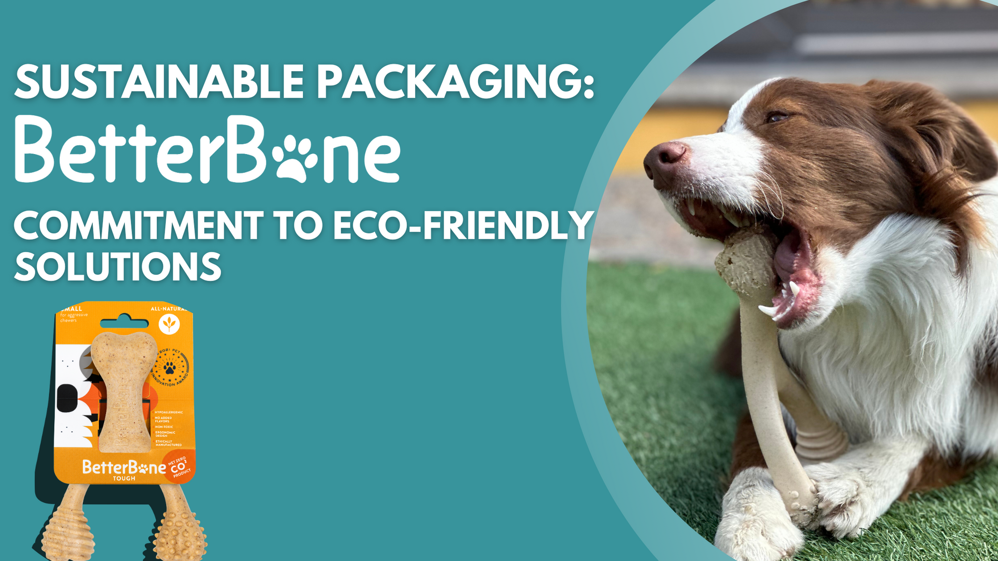 Sustainable Packaging: BetterBone's Commitment to Eco-Friendly Solution