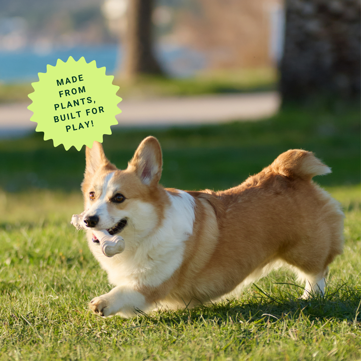 Non-Plastic Dog Toys: A Guide to Alternative Materials