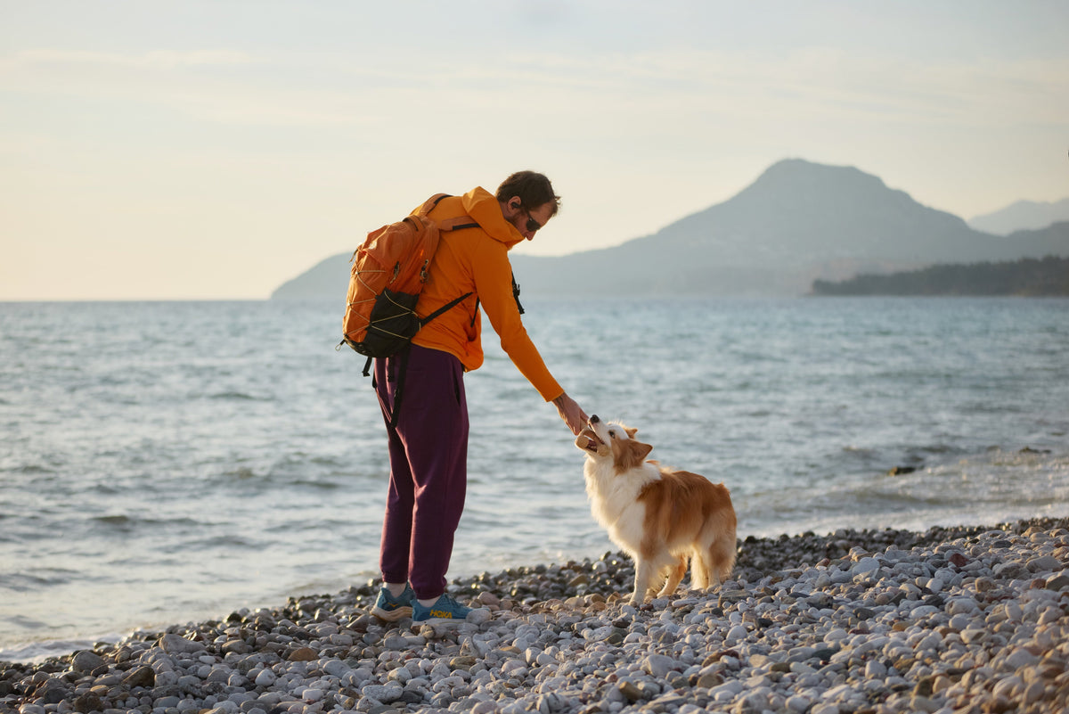 What's NOT in BetterBone - and Why It Matters for Sensitive Dogs