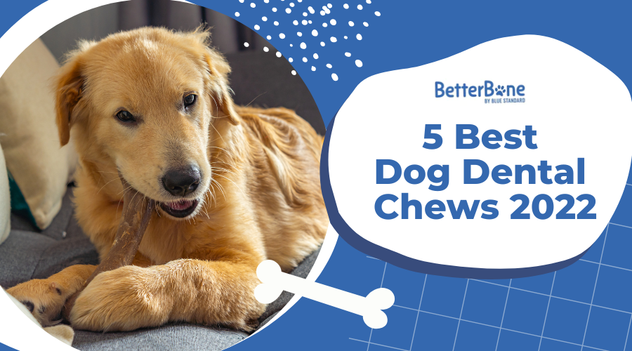 5 best dog dental chews