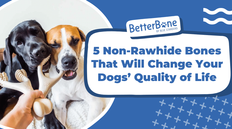 5 non-rawhide bones that will change your dogs' quality of life