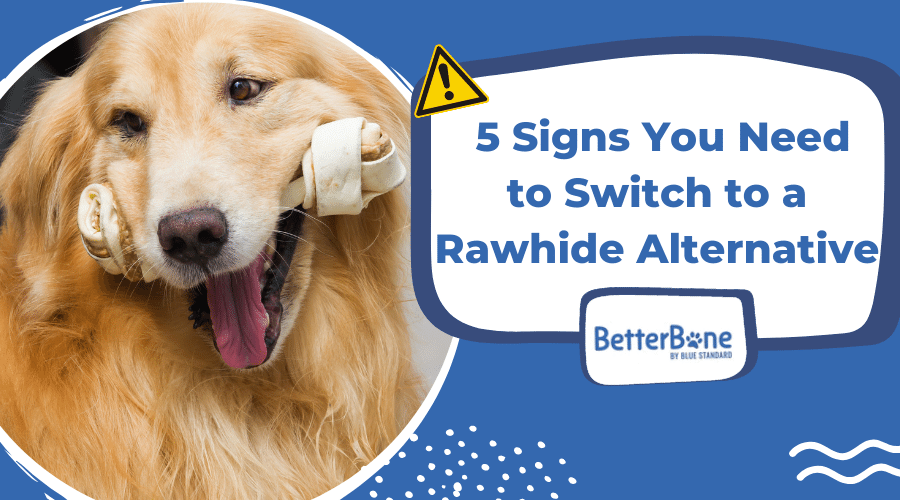5 signs you need to switch to a rawhide alternative