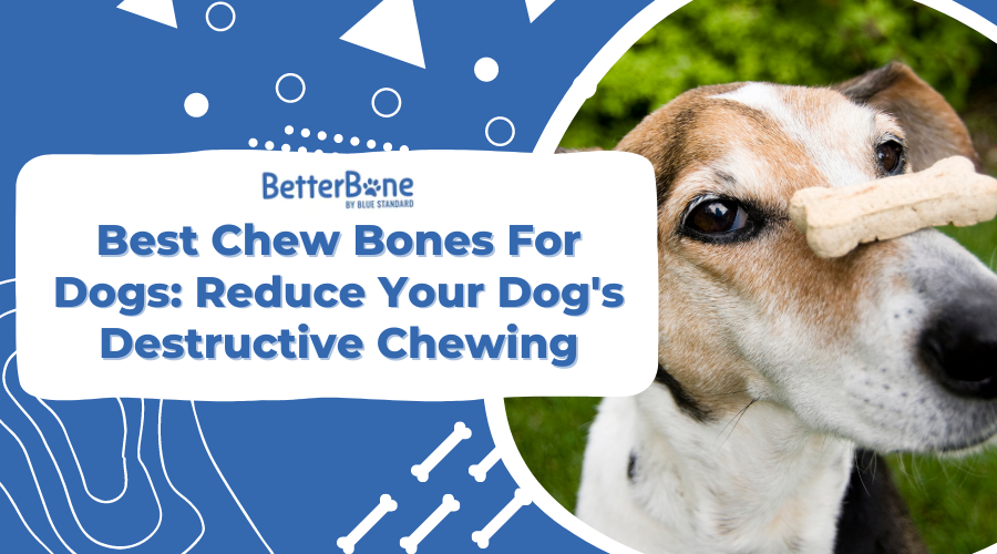 6 Best Chew Bones for Dogs Reduce Your Dog’s Destructive Chewing BetterBone All Natural Eco