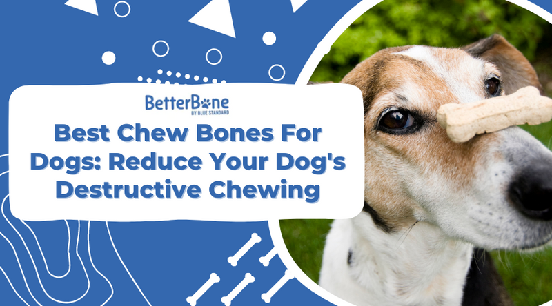 6 Best Chew Bones for Dogs Reduce Your Dog s Destructive Chewing BetterBone All Natural Eco Friendly Dog Chews Bones