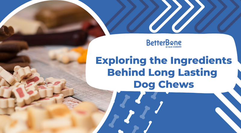 Best long lasting on sale dog chews