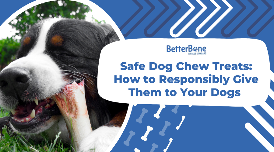 Safe Dog Chew Treats: How to Responsibly Give Them to Your Dogs 