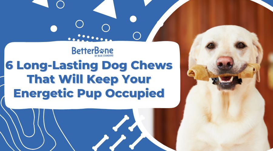 6 Long-Lasting Dog Chews That Will Keep Your Energetic Pup Occupied