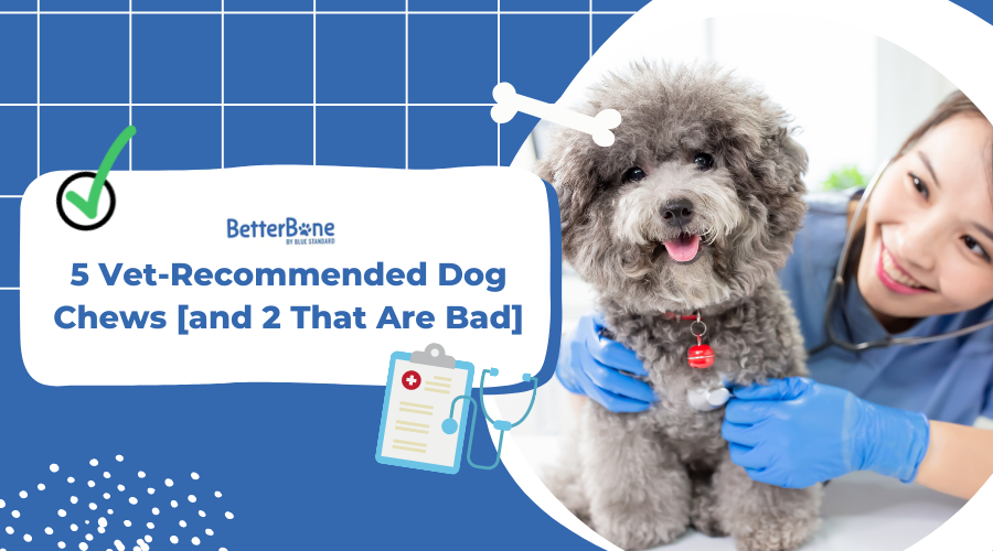 5 vet-recommended dog chews and 2 that are bad
