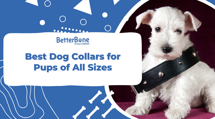 4 Best Dog Collars for Pups of All Sizes - BetterBone Natural Durable ...