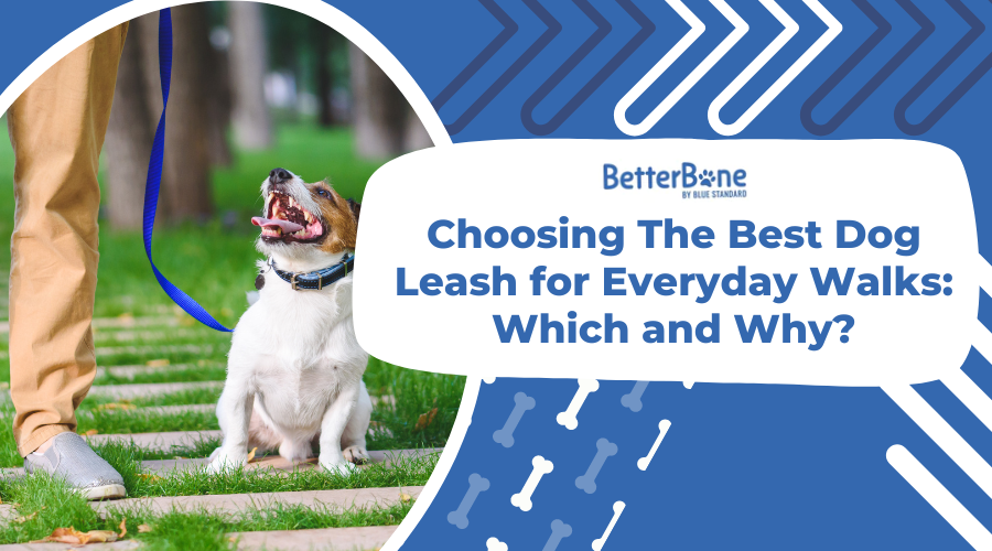 Choosing The Best Dog Leash for Everyday Walks: Which and Why?