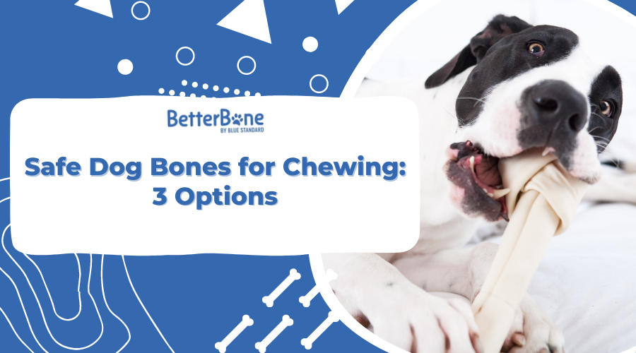 Safe Dog Bones for Chewing: 3 Options