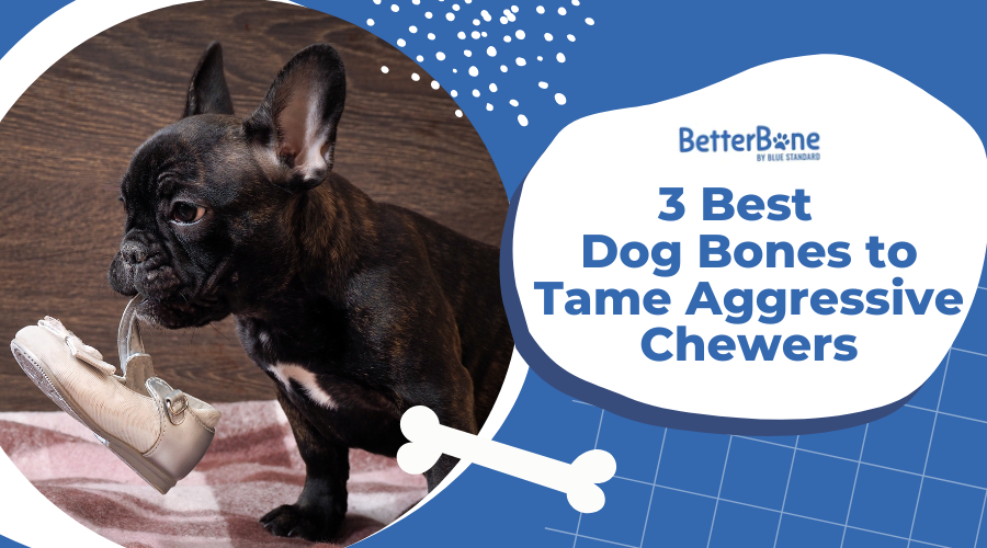 3 Best Dog Bones to Tame Aggressive Chewers