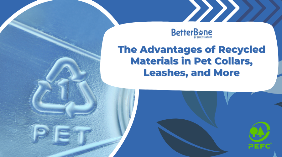 The Advantages of Recycled Materials in Pet Collars, Leashes, and More