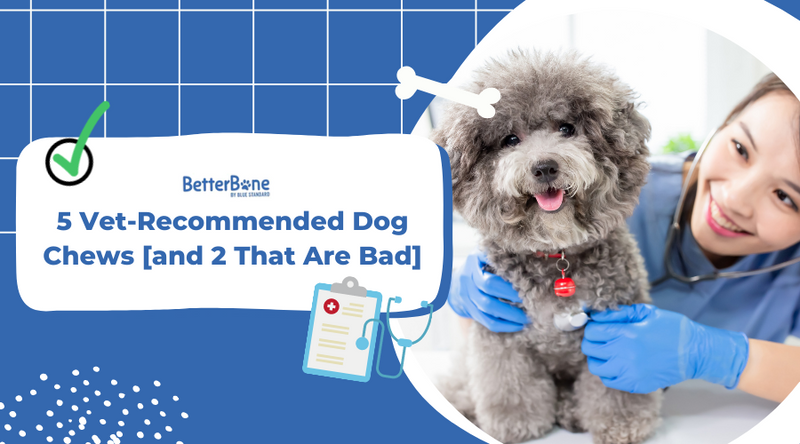 5 Best Vet-Recommended Dog Chews - BetterBone All Natural Eco-Friendly ...