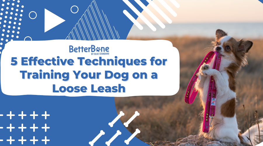 5 Effective Techniques for Training Your Dog on a Loose Leash