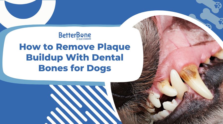 How to Remove Plaque Buildup With Dental Bones for Dogs