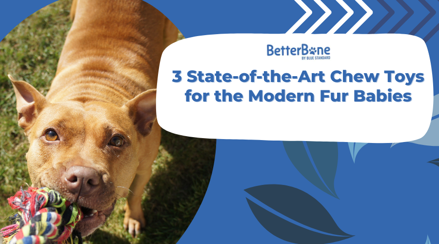 3 State-of-the-Art Chew Toys for the Modern Fur Babies