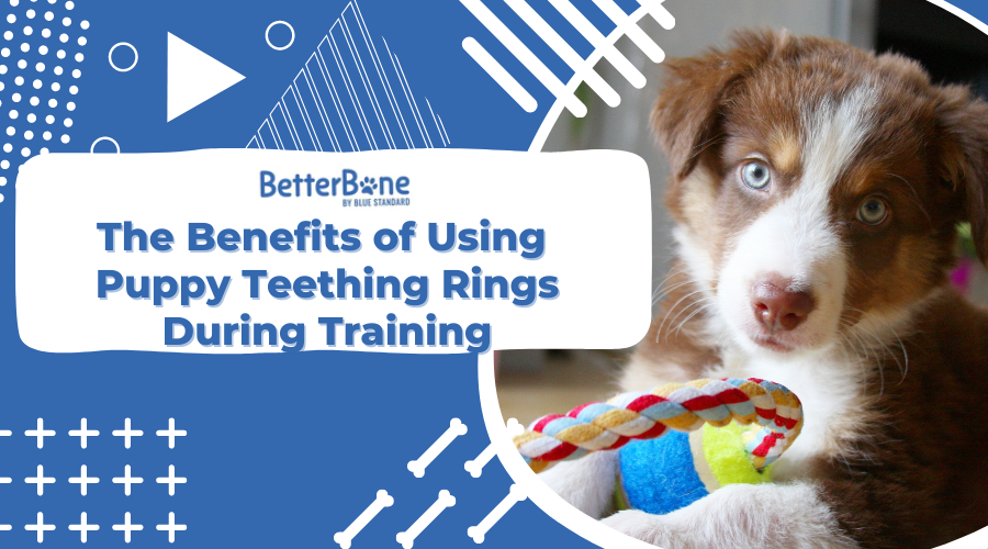 The Benefits of Using Puppy Teething Rings During Training
