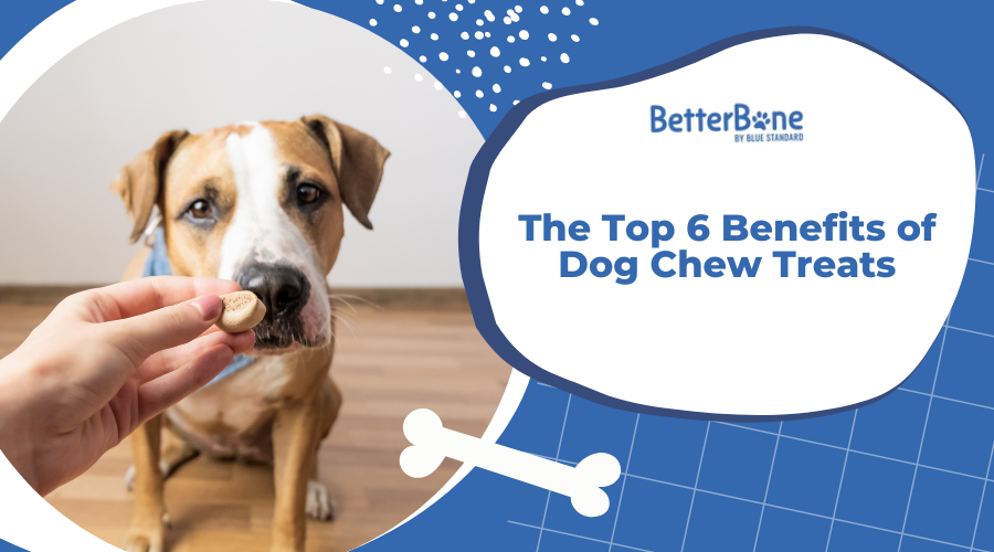 The Top 6 Benefits of Dog Chew Treats