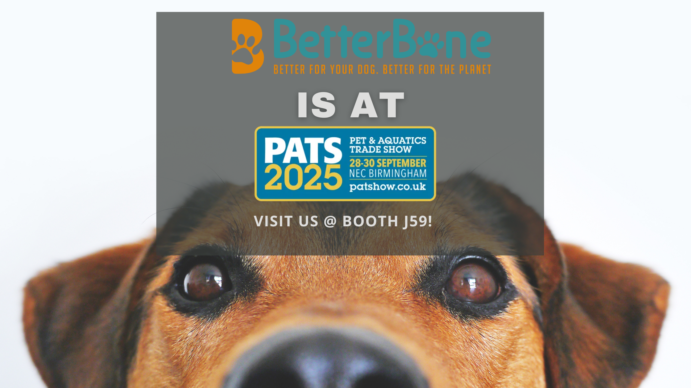 BetterBone Showcasing at PATS UK 2025 – Booth J59