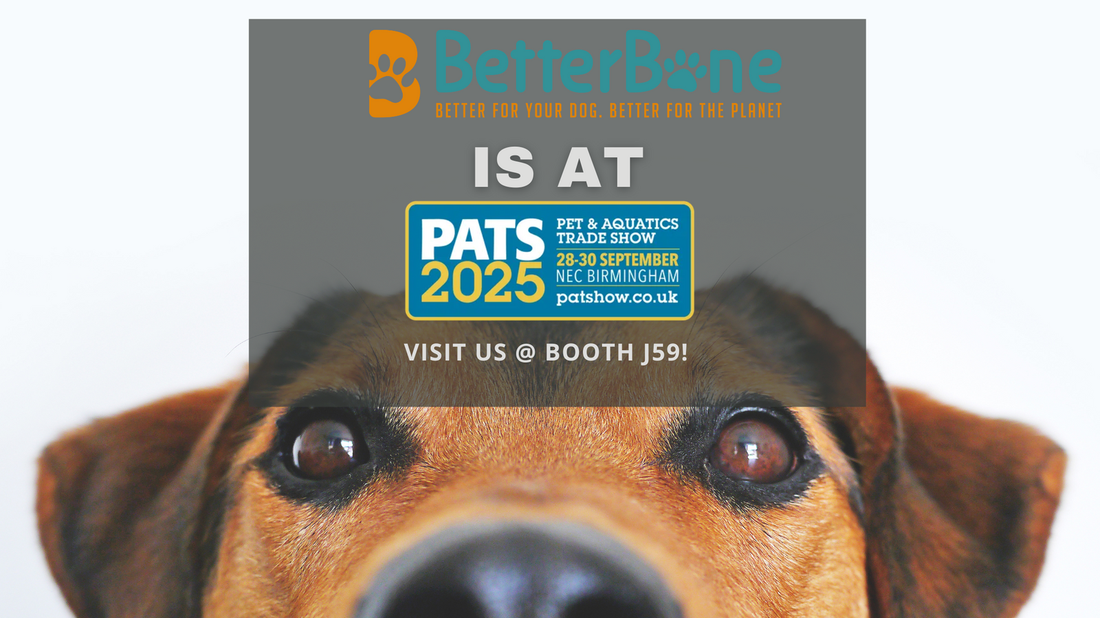 BetterBone Showcasing at PATS UK 2025 – Booth J59