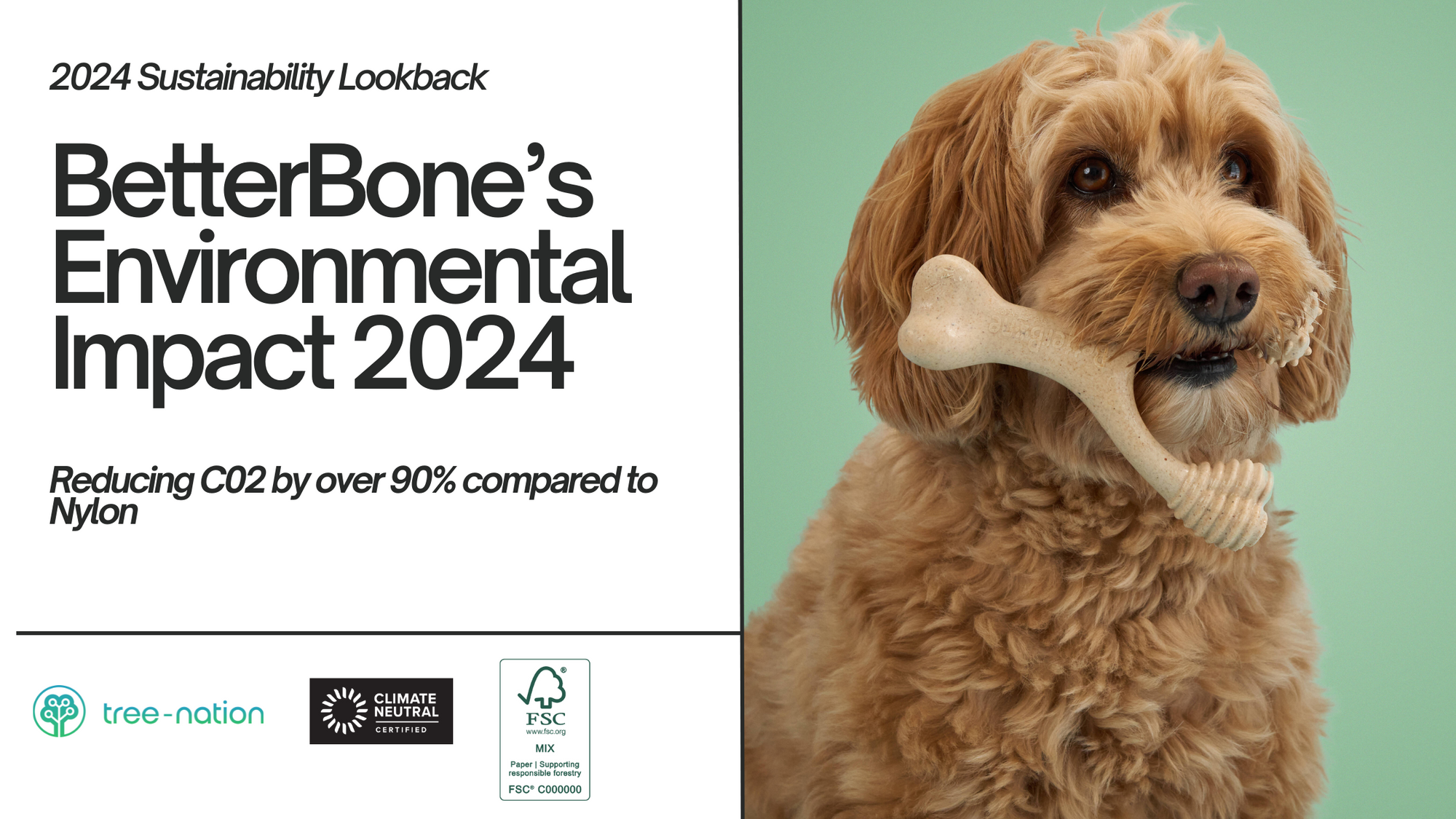 BetterBone: Pioneering Sustainability and Health for Dogs and Families