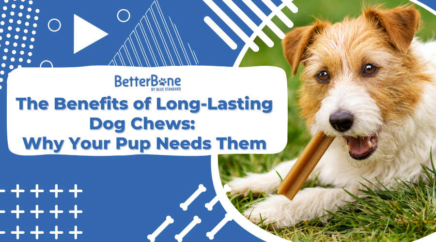 The Benefits of LongLasting Dog Chews Why Your Pup Needs Them