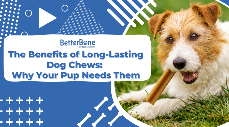 The Benefits of Long Lasting Dog Chews Why Your Pup Needs Them BetterBone All Natural Eco Friendly Dog Chews Bones