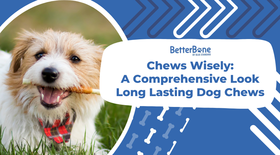 Chews Wisely: A Comprehensive Look Long Lasting Dog Chews